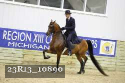 23R13_10890 thumbnail
