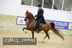 23R13_10891 thumbnail