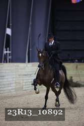 23R13_10892 thumbnail