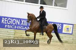 23R13_10893 thumbnail
