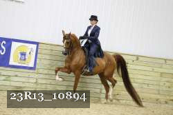 23R13_10894 thumbnail