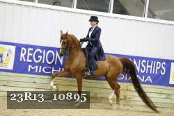 23R13_10895 thumbnail