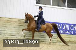 23R13_10896 thumbnail