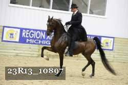 23R13_10897 thumbnail