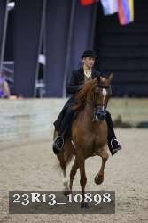 23R13_10898 thumbnail