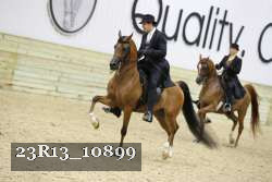 23R13_10899 thumbnail