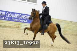 23R13_10900 thumbnail