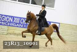 23R13_10901 thumbnail