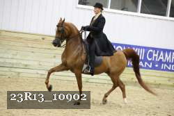 23R13_10902 thumbnail