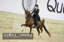 23R13_10903 thumbnail