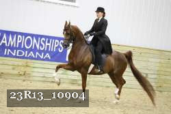 23R13_10904 thumbnail