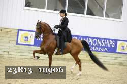 23R13_10906 thumbnail