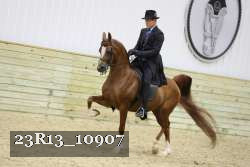 23R13_10907 thumbnail