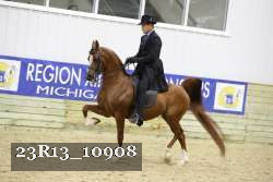 23R13_10908 thumbnail
