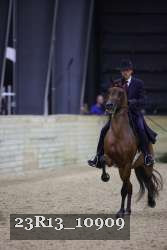 23R13_10909 thumbnail
