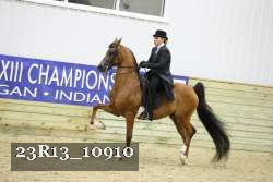 23R13_10910 thumbnail