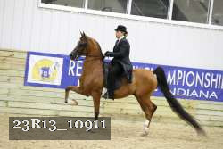23R13_10911 thumbnail