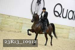 23R13_10912 thumbnail