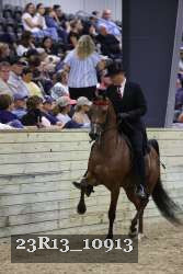 23R13_10913 thumbnail