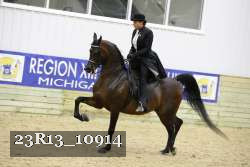 23R13_10914 thumbnail