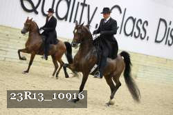 23R13_10916 thumbnail