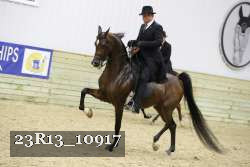 23R13_10917 thumbnail