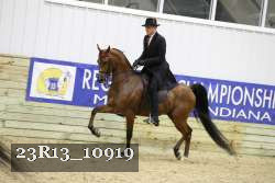 23R13_10919 thumbnail