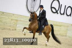 23R13_10920 thumbnail
