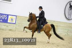 23R13_10921 thumbnail