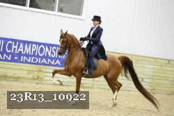 23R13_10922 thumbnail
