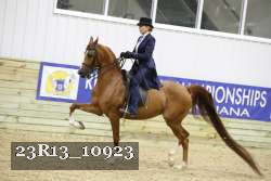 23R13_10923 thumbnail