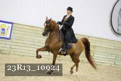 23R13_10924 thumbnail