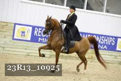 23R13_10925 thumbnail