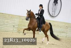 23R13_10926 thumbnail