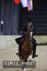 23R13_10927 thumbnail
