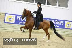 23R13_10928 thumbnail
