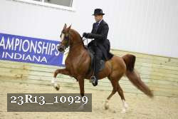 23R13_10929 thumbnail