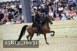 23R13_10931 thumbnail