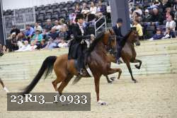 23R13_10933 thumbnail