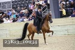 23R13_10934 thumbnail