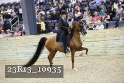 23R13_10935 thumbnail