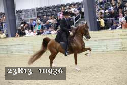 23R13_10936 thumbnail
