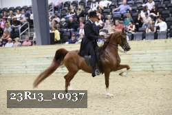 23R13_10937 thumbnail