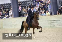 23R13_10938 thumbnail