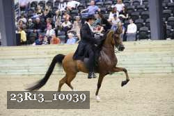 23R13_10939 thumbnail