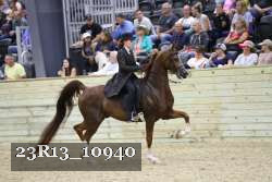 23R13_10940 thumbnail