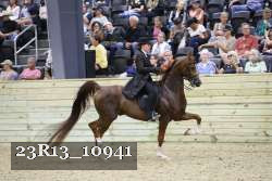 23R13_10941 thumbnail