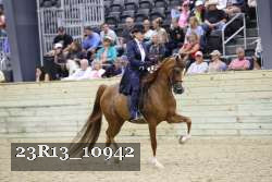 23R13_10942 thumbnail