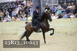 23R13_10943 thumbnail