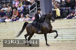 23R13_10944 thumbnail